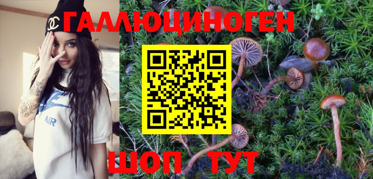 Псилоцибиновые грибы Psilocybine cubensis Орск